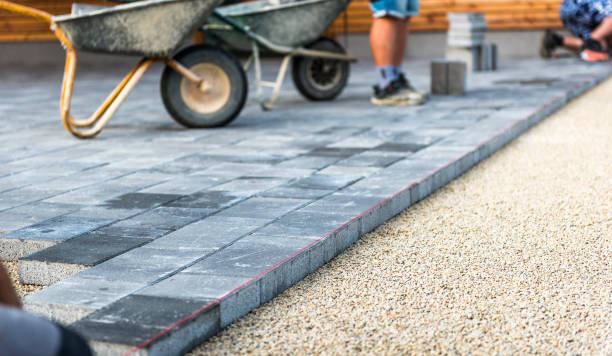 Best Concrete Driveway Repair Near Me  in Robbinsdale, MN